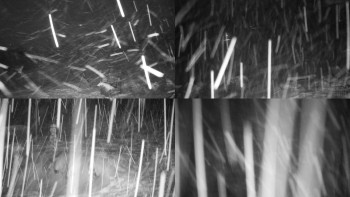 Chata Myslivna SKP Olomouc