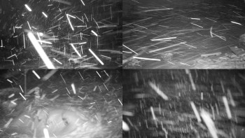 Chata Myslivna SKP Olomouc