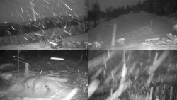 Sdružený snímek okolí chaty Myslivna