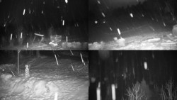 Sdružený snímek okolí chaty Myslivna