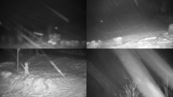 Sdružený snímek okolí chaty Myslivna