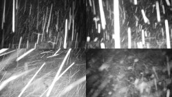 Sdružený snímek okolí chaty Myslivna