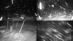 Sdružený snímek okolí chaty Myslivna