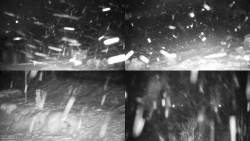 Sdružený snímek okolí chaty Myslivna