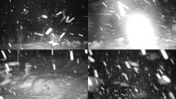 Sdružený snímek okolí chaty Myslivna