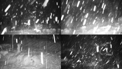 Sdružený snímek okolí chaty Myslivna