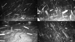 Sdružený snímek okolí chaty Myslivna