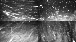 Sdružený snímek okolí chaty Myslivna