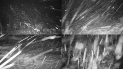 Sdružený snímek okolí chaty Myslivna