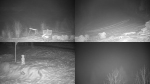 Chata Myslivna SKP Olomouc - Sdružený snímek okolí chaty Myslivna - 16.1.2026 v 06:01