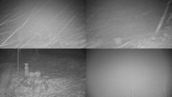 Sdružený snímek okolí chaty Myslivna