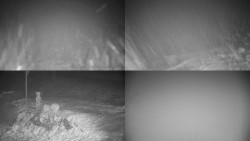 Sdružený snímek okolí chaty Myslivna