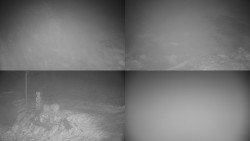 Sdružený snímek okolí chaty Myslivna