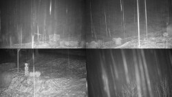 Sdružený snímek okolí chaty Myslivna