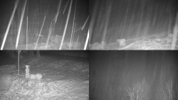 Sdružený snímek okolí chaty Myslivna