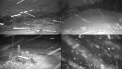 Sdružený snímek okolí chaty Myslivna