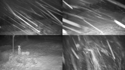 Sdružený snímek okolí chaty Myslivna