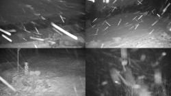 Sdružený snímek okolí chaty Myslivna