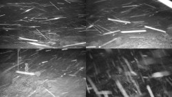 Sdružený snímek okolí chaty Myslivna