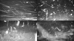 Sdružený snímek okolí chaty Myslivna