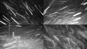 Chata Myslivna SKP Olomouc - Sdružený snímek okolí chaty Myslivna - 30.1.2026 v 00:31 Chata Myslivna SKP Olomouc - Sdružený snímek okolí chaty Myslivna - 30.1.2026 v 00:31