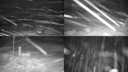 Sdružený snímek okolí chaty Myslivna