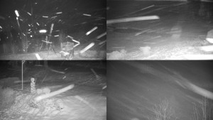 Chata Myslivna SKP Olomouc - Sdružený snímek okolí chaty Myslivna - 30.1.2026 v 03:31 Chata Myslivna SKP Olomouc - Sdružený snímek okolí chaty Myslivna - 30.1.2026 v 03:31