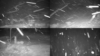 Chata Myslivna SKP Olomouc