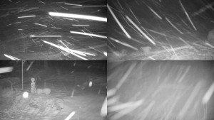 Chata Myslivna SKP Olomouc - Sdružený snímek okolí chaty Myslivna - 30.1.2026 v 06:31 Chata Myslivna SKP Olomouc - Sdružený snímek okolí chaty Myslivna - 30.1.2026 v 06:31