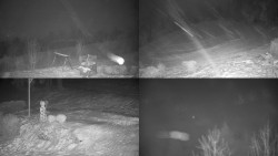 Sdružený snímek okolí chaty Myslivna