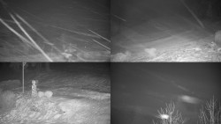 Sdružený snímek okolí chaty Myslivna