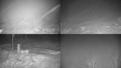 Sdružený snímek okolí chaty Myslivna