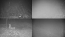 Sdružený snímek okolí chaty Myslivna