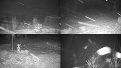 Sdružený snímek okolí chaty Myslivna