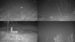 Sdružený snímek okolí chaty Myslivna