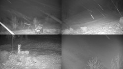 Sdružený snímek okolí chaty Myslivna