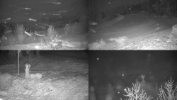 Sdružený snímek okolí chaty Myslivna