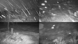 Sdružený snímek okolí chaty Myslivna