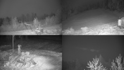 Sdružený snímek okolí chaty Myslivna