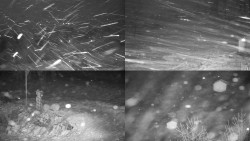 Sdružený snímek okolí chaty Myslivna