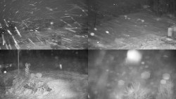 Sdružený snímek okolí chaty Myslivna