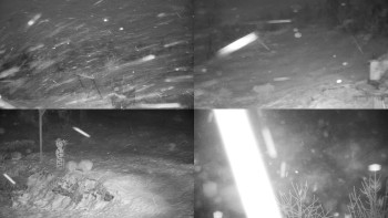 Chata Myslivna SKP Olomouc