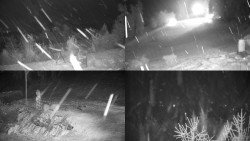 Sdružený snímek okolí chaty Myslivna