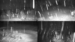 Sdružený snímek okolí chaty Myslivna