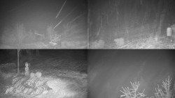 Sdružený snímek okolí chaty Myslivna