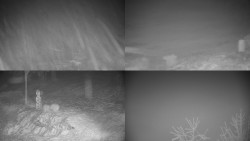 Sdružený snímek okolí chaty Myslivna