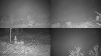 Chata Myslivna SKP Olomouc