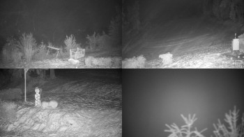 Chata Myslivna SKP Olomouc