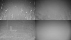 Sdružený snímek okolí chaty Myslivna