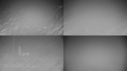 Sdružený snímek okolí chaty Myslivna